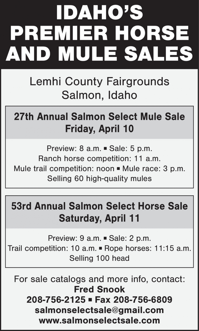 27th Annual Salmon Select Mule Sale
