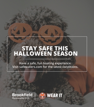 Stay Safe This Halloween Season