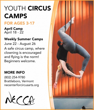Youth Circus Camps