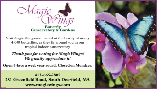 Open 6 Days a Week Year Round
