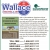 Heating & Air