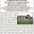 Logsdon Trust Auction