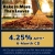 Rake in More than Leaves