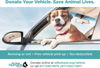 Donate Your Vehicle. Save Animal Lives