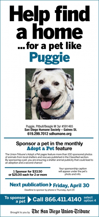 Help Find a Home for a Pet like Puggie