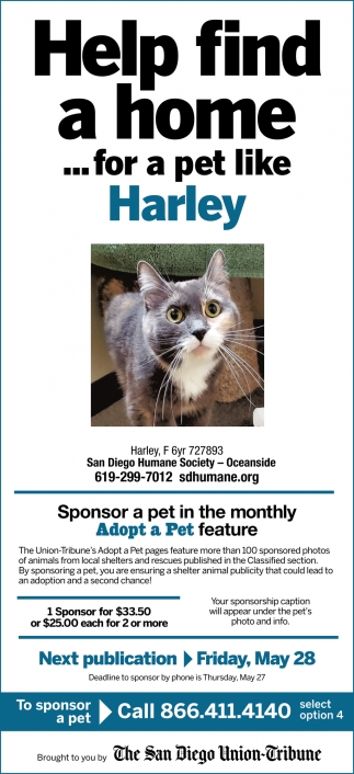 Help Find a Home for a Pet like Harley