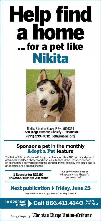 Help Find a Home for a Pet like Nikita