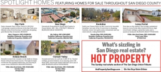 What's Sizzling In San Diego Real Estate?