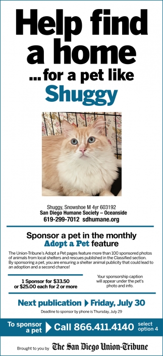 Help Find a Home for a Pet like Shuggy