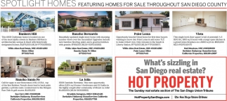 What's Sizzling in San Diego Real Estate?