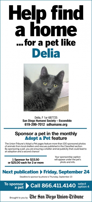 Help Find a Home For A Pet like Delia