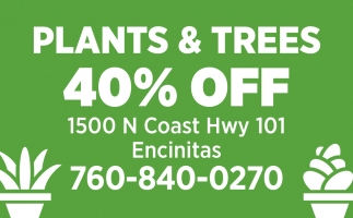 Plants & Trees 40% Off