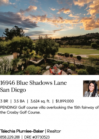 16946 Blue Shadows Lane