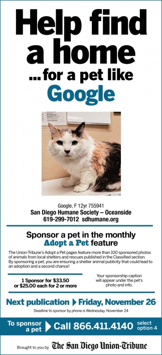Help Find a Home for a Pet Like Google