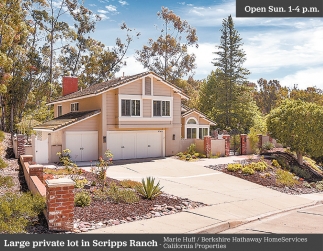 Large Private Lot In Scripps Ranch