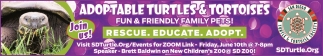 Adoptable Turtles & Tortoises