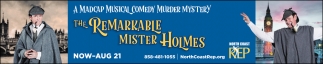 The Remarkable Mister Holmes