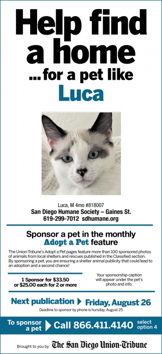 Help Find a Home... For a Pet Like Luca