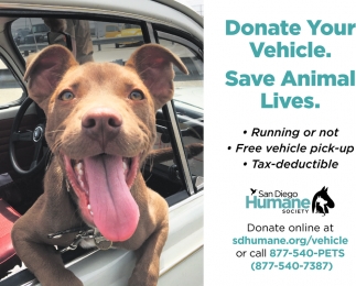 Donate your Vehicle Save Animal Lives
