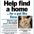 Help Find A Home For A Pet Like Rene