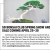 SD Bonsai Club Spring Show and Sale Coming April 29-30