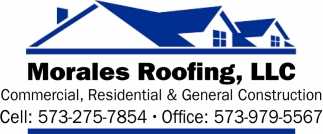 Professional Roofing