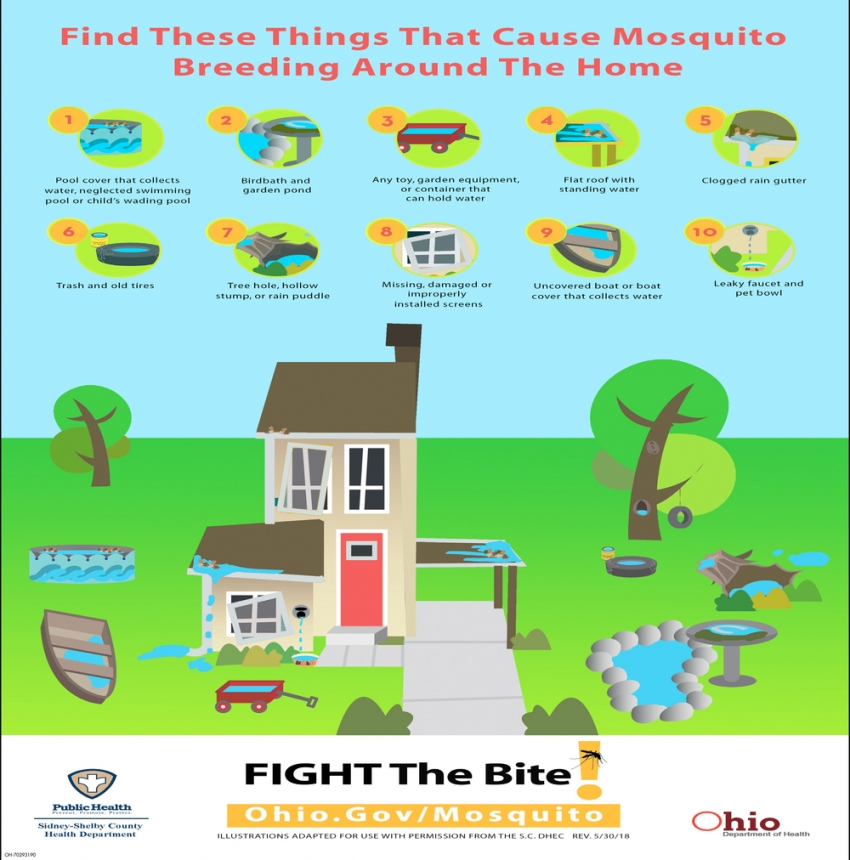Find These Things That Cause Mosquito Breeding