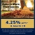 Rake in More than Leaves