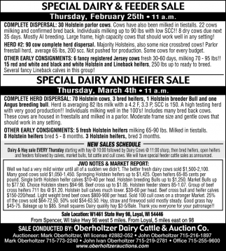 Special Dairy Sale