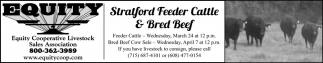 Stratford Feeder Cattle & Bred Beef