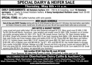 Special Dairy & Heifer Sale