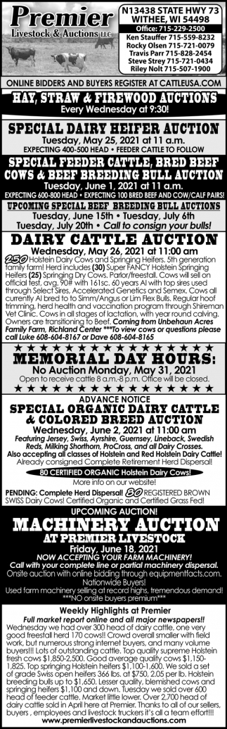 Special Dairy Heifer Auction