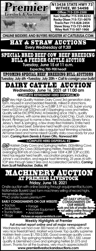 Dairy Cattle Auction
