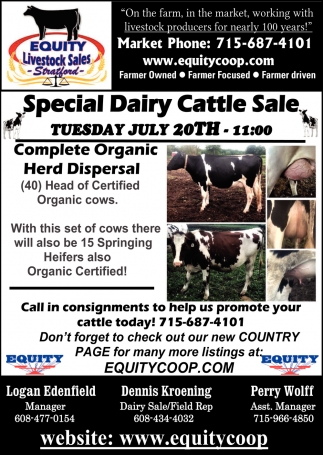 Special Dairy Cattle Sale