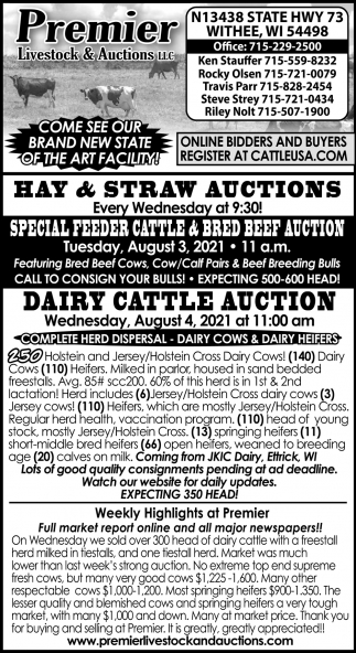 Dairy Cattle Auction
