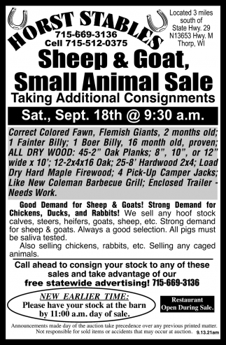 Sheep & Goat, Small Animal Sale