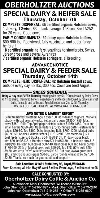 Special Heifer & Dairy Sale