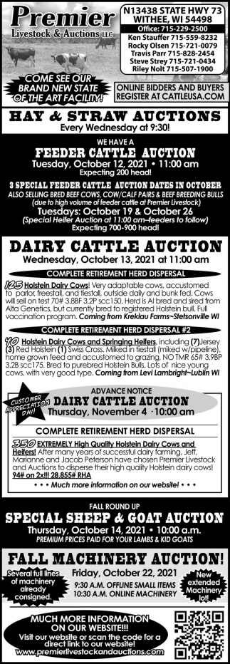 Feeder Cattle Auction