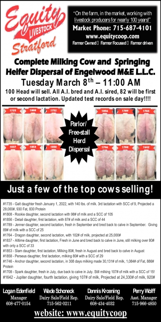 Just a Few of The Cows Selling
