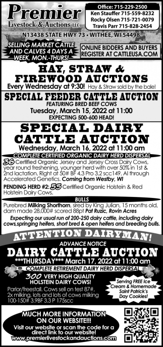 Special Dairy Cattle Auction