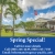 Spring Special!
