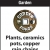 Plants, Ceramics Pots, Copper Rain Chains and More!