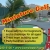 Miniature Golf Course