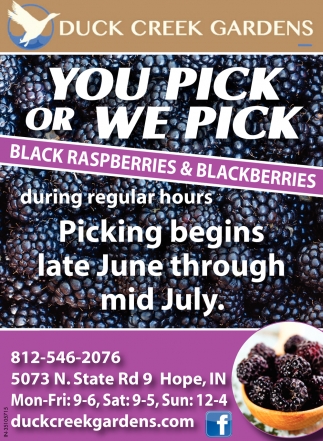 Black Raspberries & Blackberries