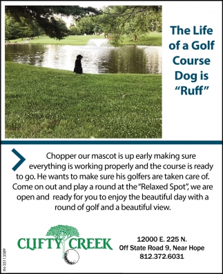 The Life Of A Golf Course Dog Is 