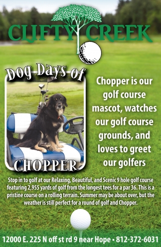 Dog Days Of Chopper