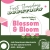 Blossom & Bloom
