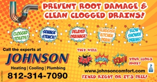 Prevent Root Damage & Clean Clogged Drains!