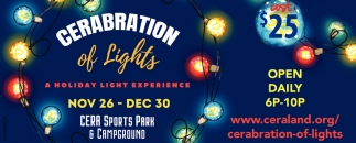 Cerabration of Lights