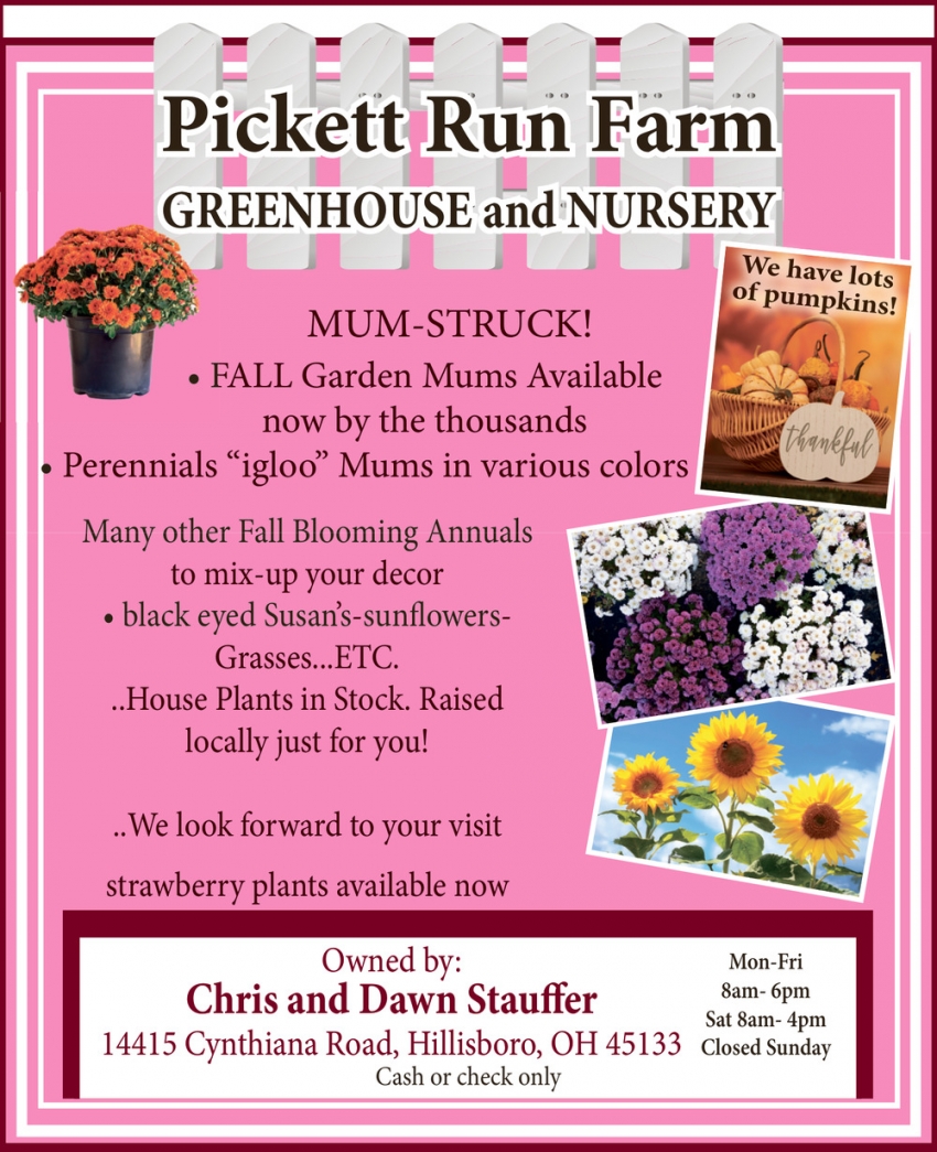Pickett Run Farm